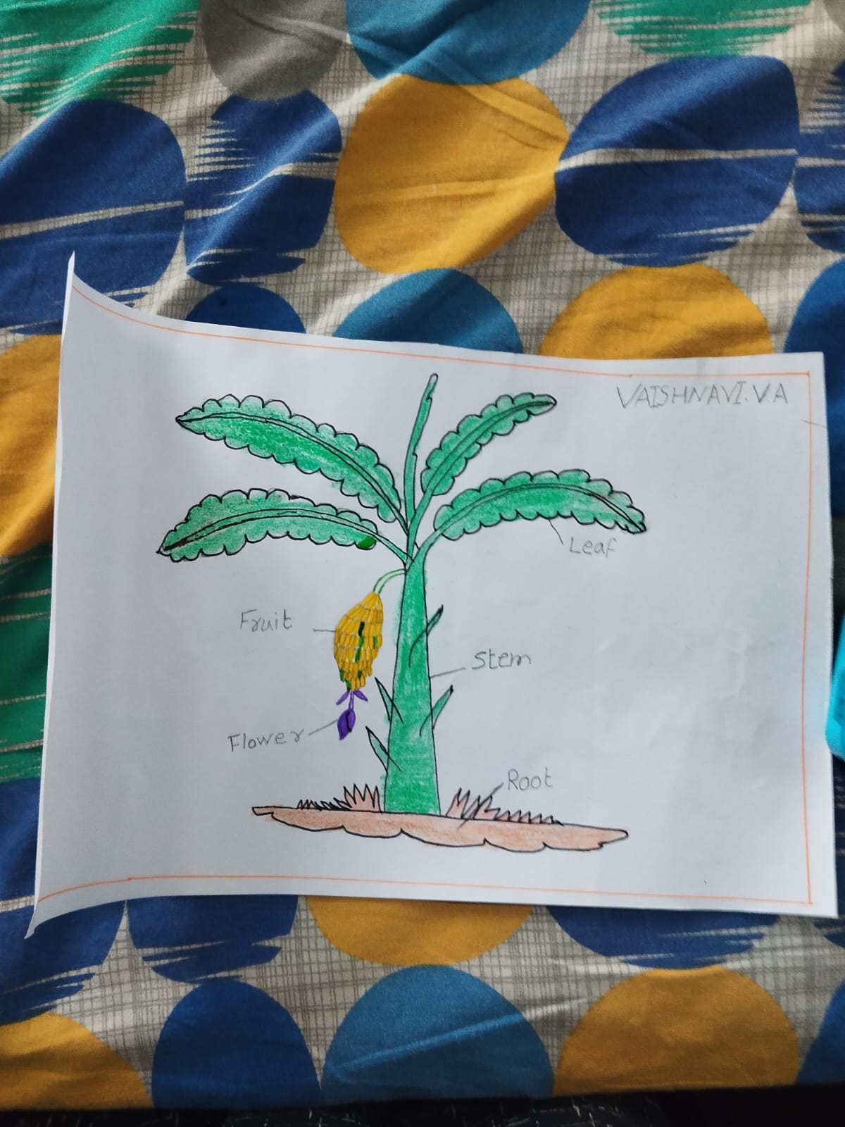 Student artwork